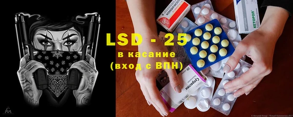 ПСИЛОЦИБИНОВЫЕ ГРИБЫ Верея