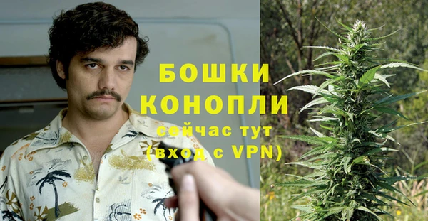 ПСИЛОЦИБИНОВЫЕ ГРИБЫ Верея