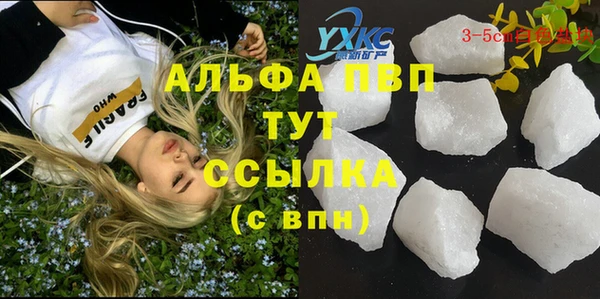 ПСИЛОЦИБИНОВЫЕ ГРИБЫ Верея