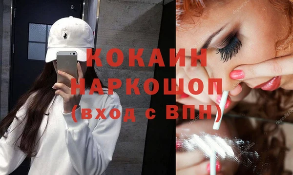 ПСИЛОЦИБИНОВЫЕ ГРИБЫ Верея