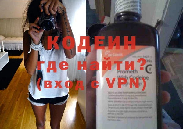 индика Богданович