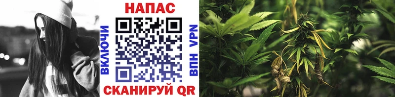 мега ссылка  Омск  Конопля THC 21% 